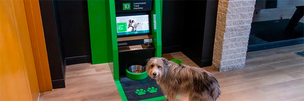 TD Bank intros 'dog ATM' dispensing dog treats